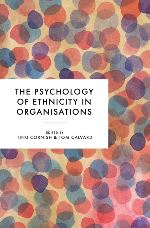 Cover image for book The Psychology of Ethnicity in Organisations