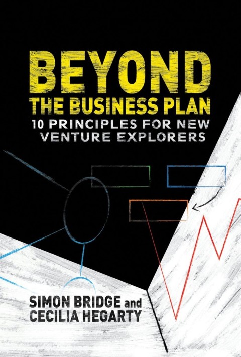 Cover image for book Beyond the Business Plan