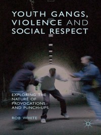 Cover image: Youth Gangs, Violence and Social Respect 9781137333841