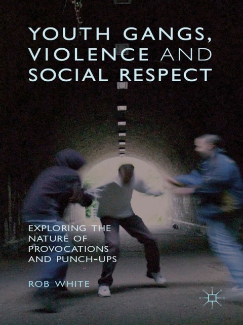 Cover image for book Youth Gangs, Violence and Social Respect