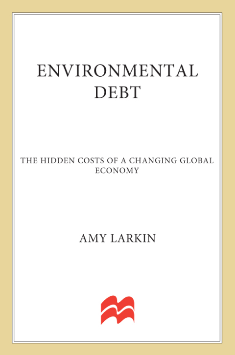 Cover image for book Environmental Debt