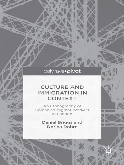 Cover image for book Culture and Immigration in Context