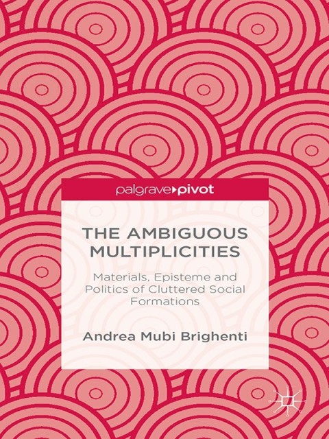 Cover image for book The Ambiguous Multiplicities