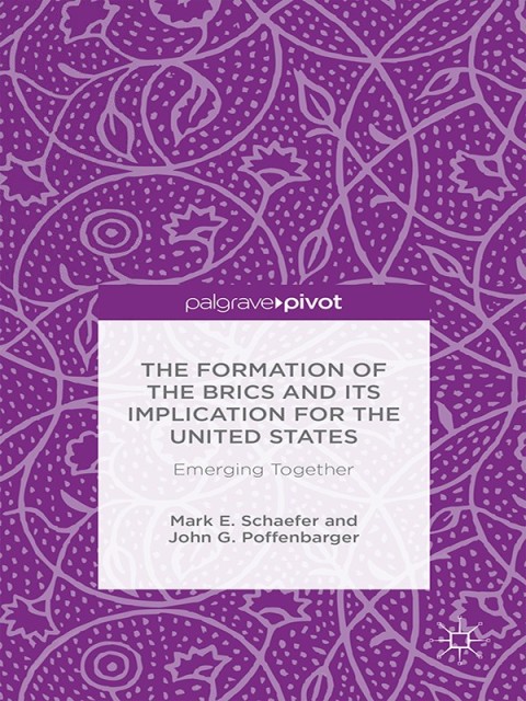 Cover image for book The Formation of the BRICS and its Implication for the United States