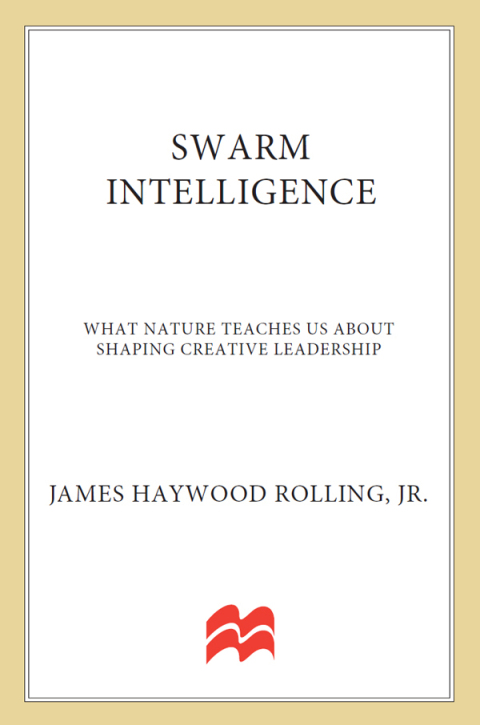 Cover image for book Swarm Intelligence