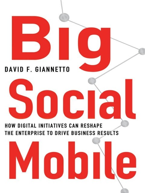 Cover image for book Big Social Mobile