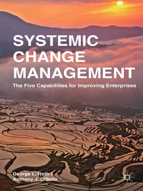 Cover image for book Systemic Change Management