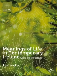 Titelbild: Meanings of Life in Contemporary Ireland 9781137429124
