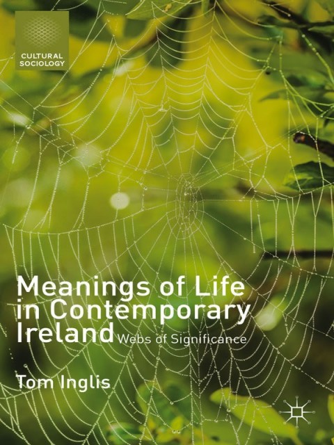 Cover image for book Meanings of Life in Contemporary Ireland