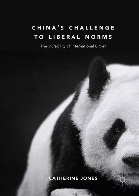 Cover image for book China's Challenge to Liberal Norms