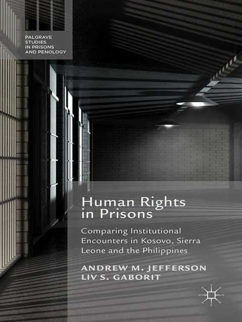 Cover image for book Human Rights in Prisons