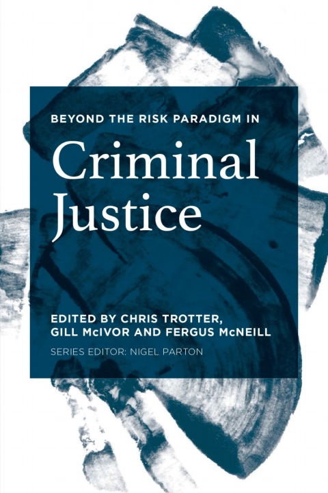 Cover image for book Beyond the Risk Paradigm in Criminal Justice