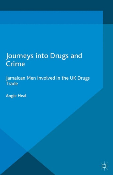 Cover image for book Journeys into Drugs and Crime
