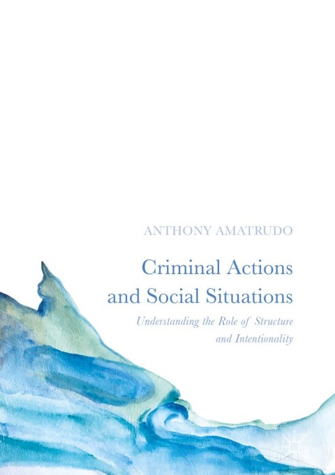 Cover image for book Criminal Actions and Social Situations
