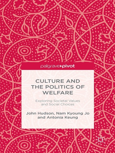 Cover image for book Culture and the Politics of Welfare
