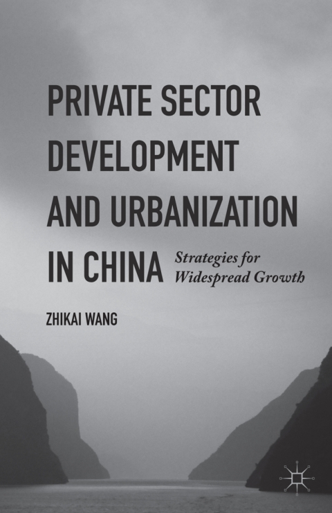Cover image for book Private Sector Development and Urbanization in China
