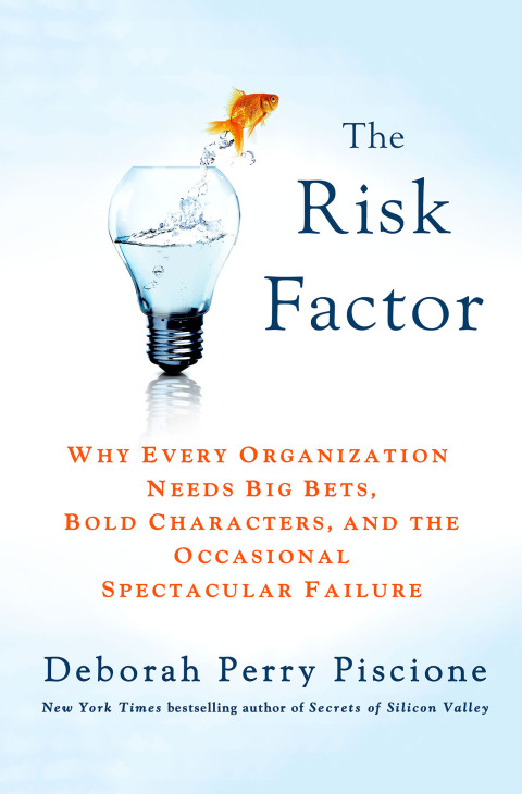 Cover image for book The Risk Factor