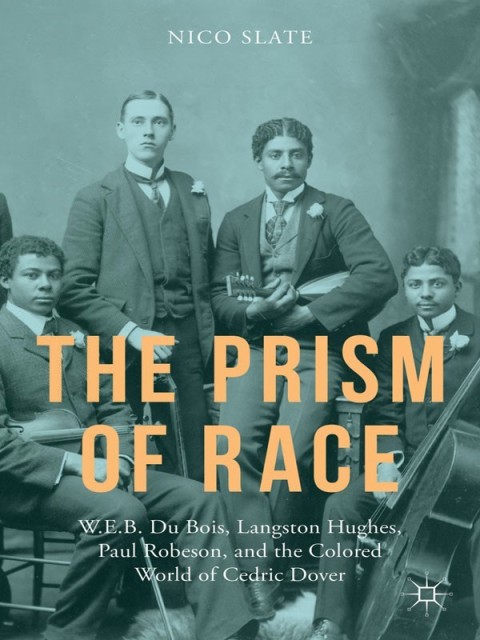 Cover image for book The Prism of Race