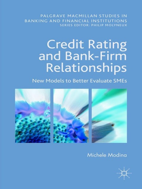 Cover image for book Credit Rating and Bank-Firm Relationships