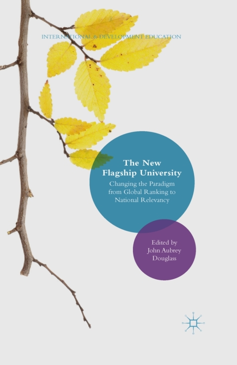 Cover image for book The New Flagship University