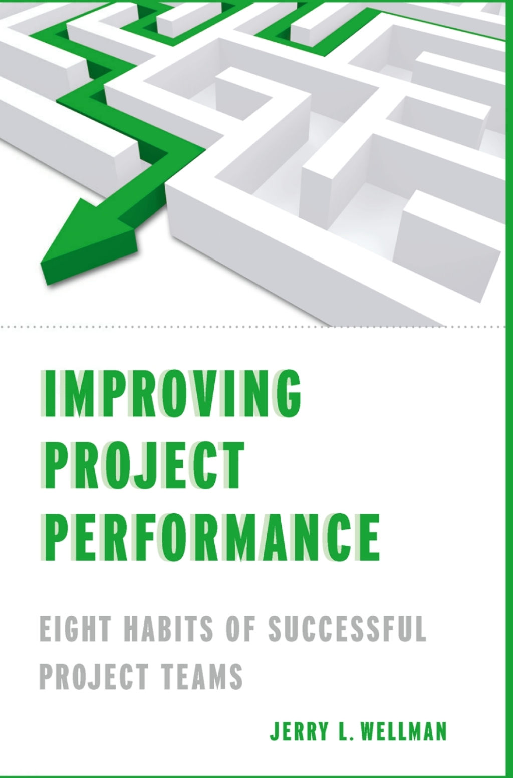 Improving Project Performance (eBook)