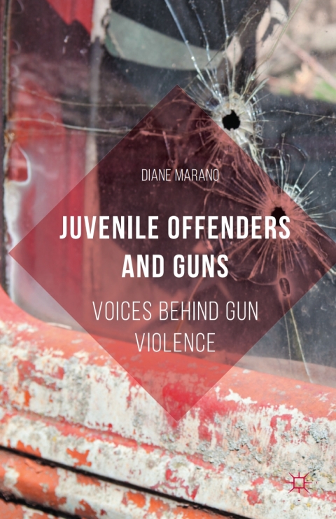 Cover image for book Juvenile Offenders and Guns