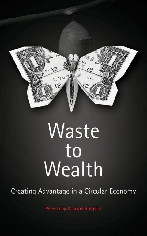 Cover image for book Waste to Wealth