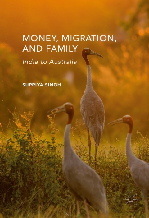 Cover image for book Money, Migration, and Family