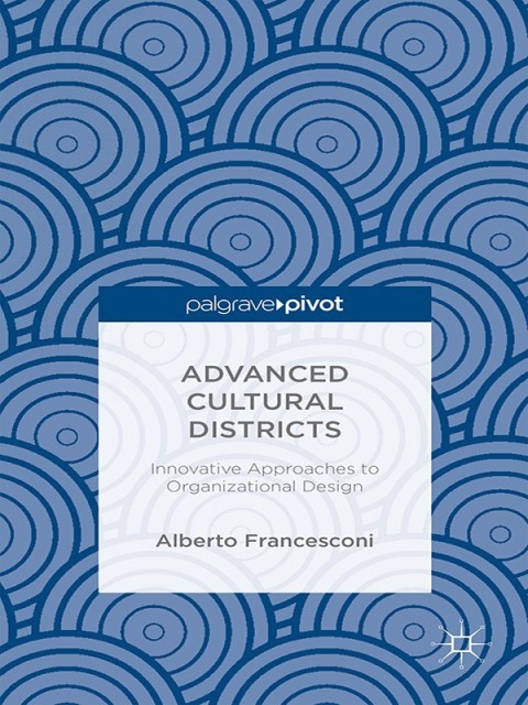 Cover image for book Advanced Cultural Districts