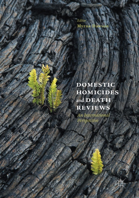 Cover image for book Domestic Homicides and Death Reviews