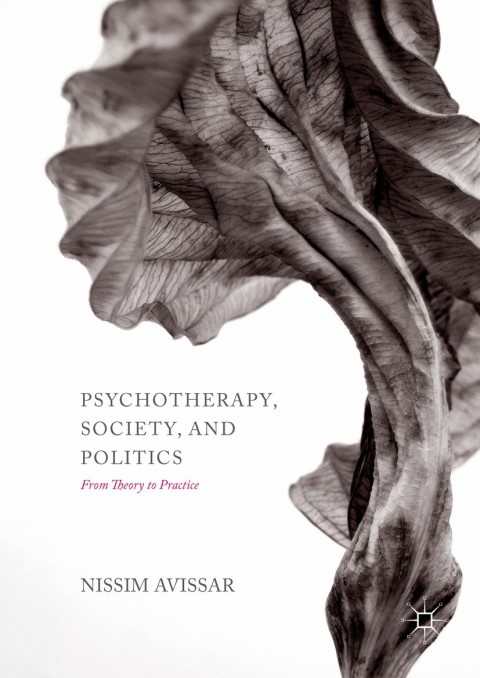 Cover image for book Psychotherapy, Society, and Politics