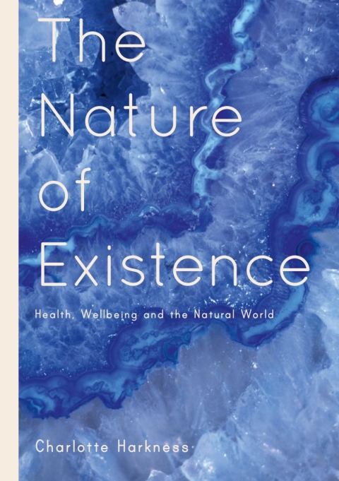 Cover image for book The Nature of Existence