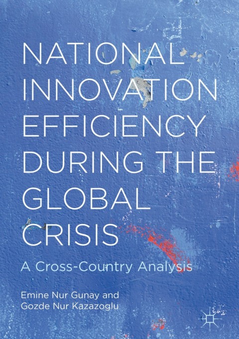 Cover image for book National Innovation Efficiency During the Global Crisis