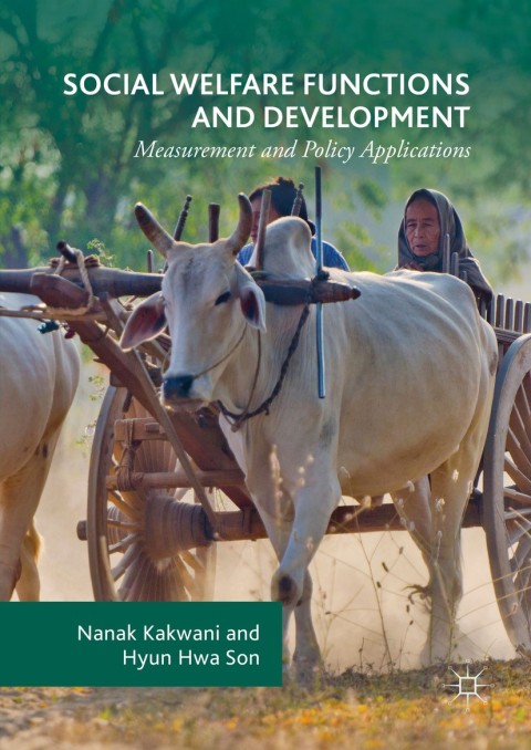 Cover image for book Social Welfare Functions and Development