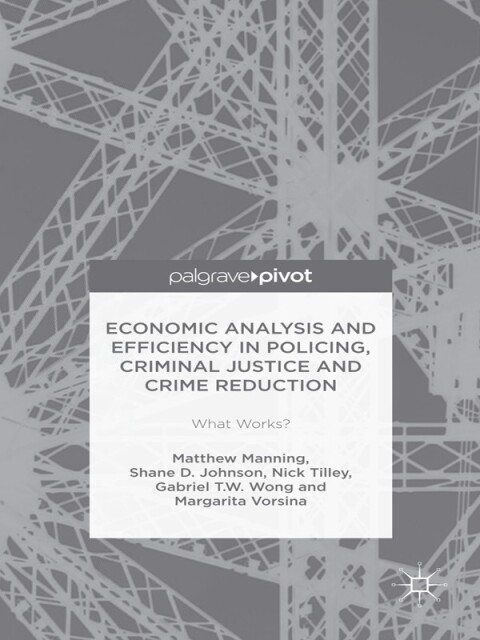 Economic Analysis and Efficiency in Policing, Criminal Justice and Crime Reduction 