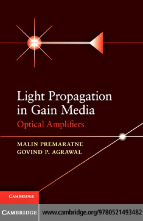 Cover image for book Light Propagation in Gain Media