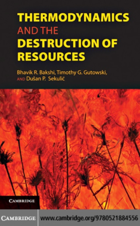 Cover image for book Thermodynamics and the Destruction of Resources