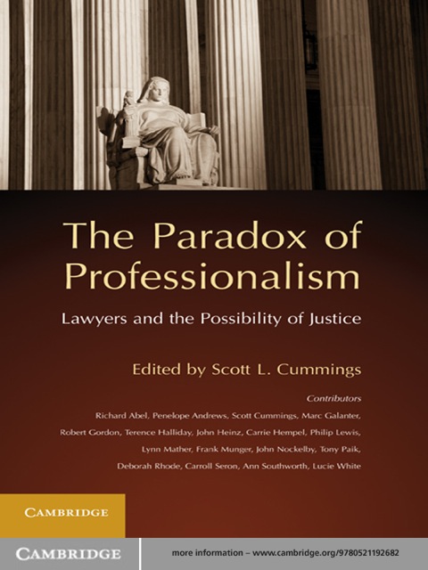 Cover image for book The Paradox of Professionalism