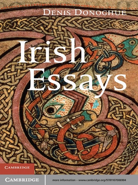 Cover image for book Irish Essays