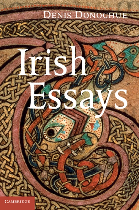 Cover image for book Irish Essays
