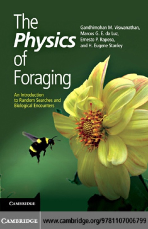 Cover image for book The Physics of Foraging