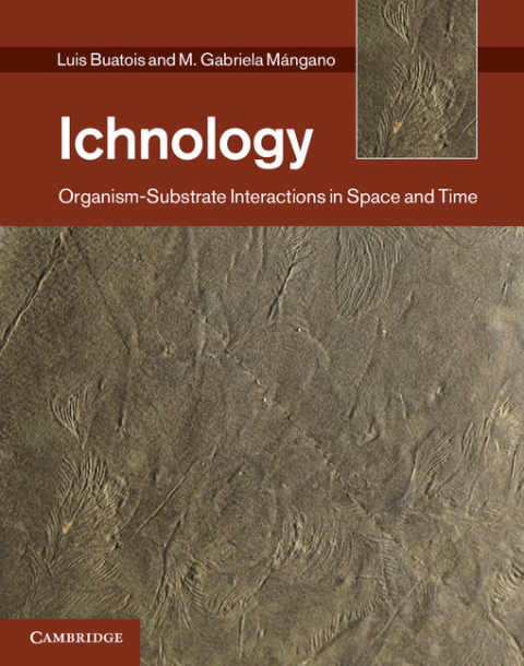 Cover image for book Ichnology