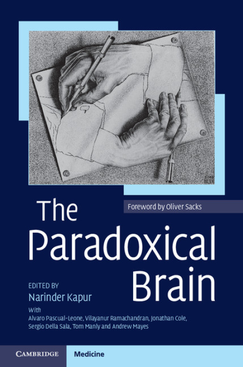 Cover image for book The Paradoxical Brain