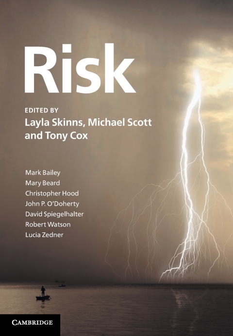 Cover image for book Risk