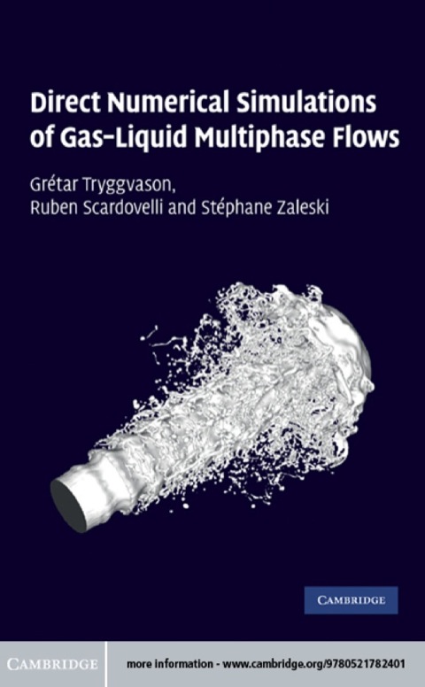 Cover image for book Direct Numerical Simulations of Gas–Liquid Multiphase Flows