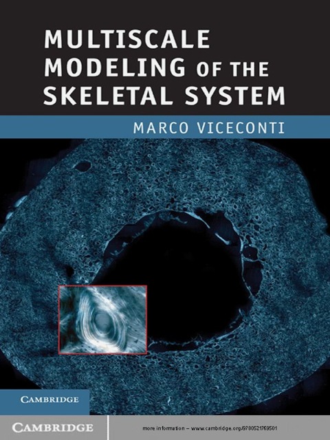 Cover image for book Multiscale Modeling of the Skeletal System