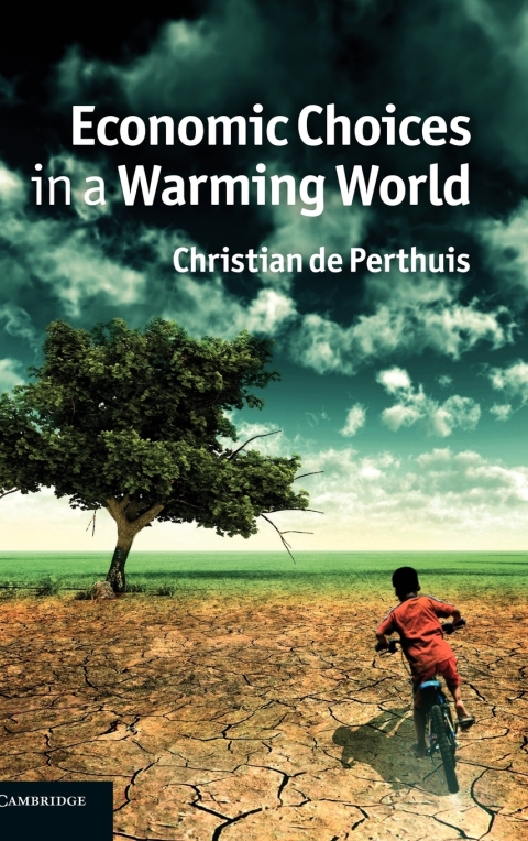 Cover image for book Economic Choices in a Warming World