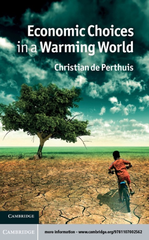 Cover image for book Economic Choices in a Warming World