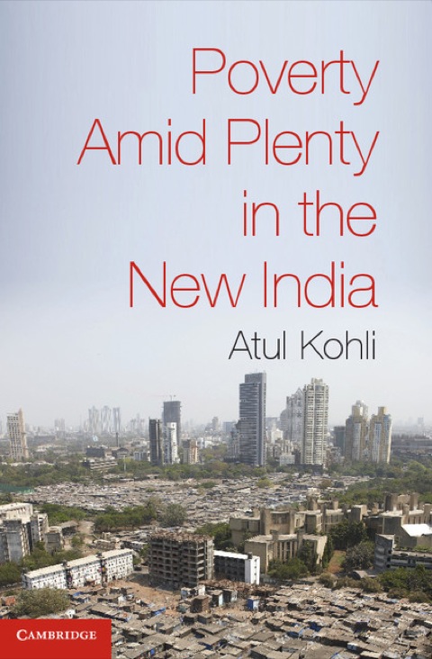 Cover image for book Poverty amid Plenty in the New India