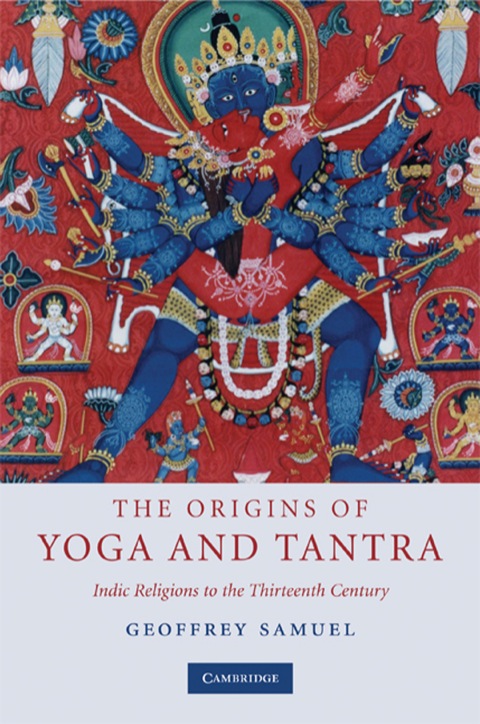 Cover image for book The Origins of Yoga and Tantra